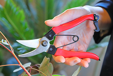 가위,커터류 관련 이미지