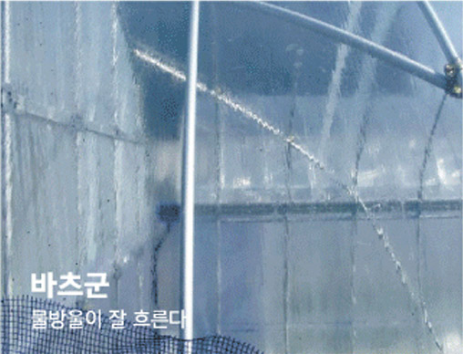 바츠군 물방울이 잘 흐른다.