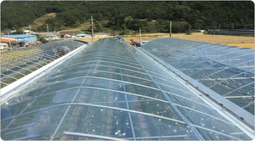 바츠군5 전장 모습 사진