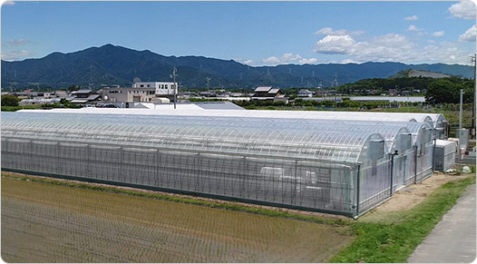 바츠군5 외부 모습 사진