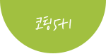 코팅5+1