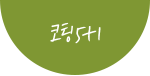 코팅5+1